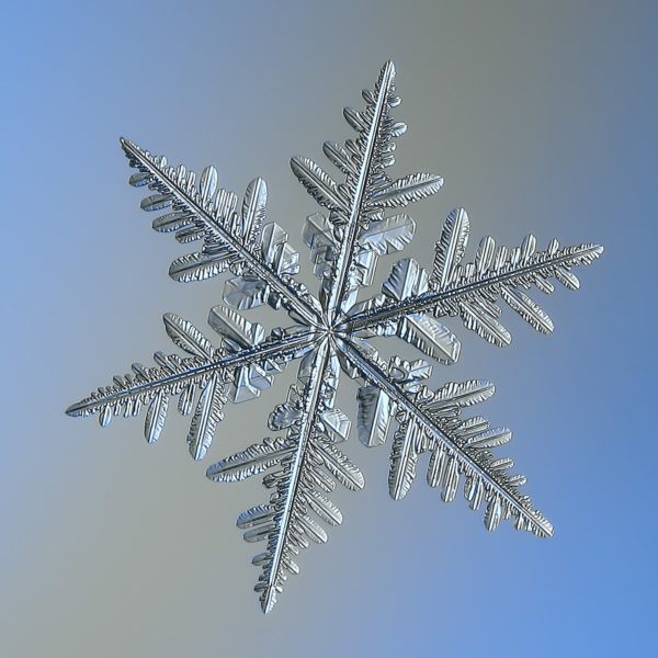 Snowflake_-_Flickr_-_Alexey_Kljatov