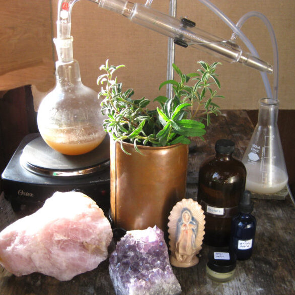 medplant-cover
